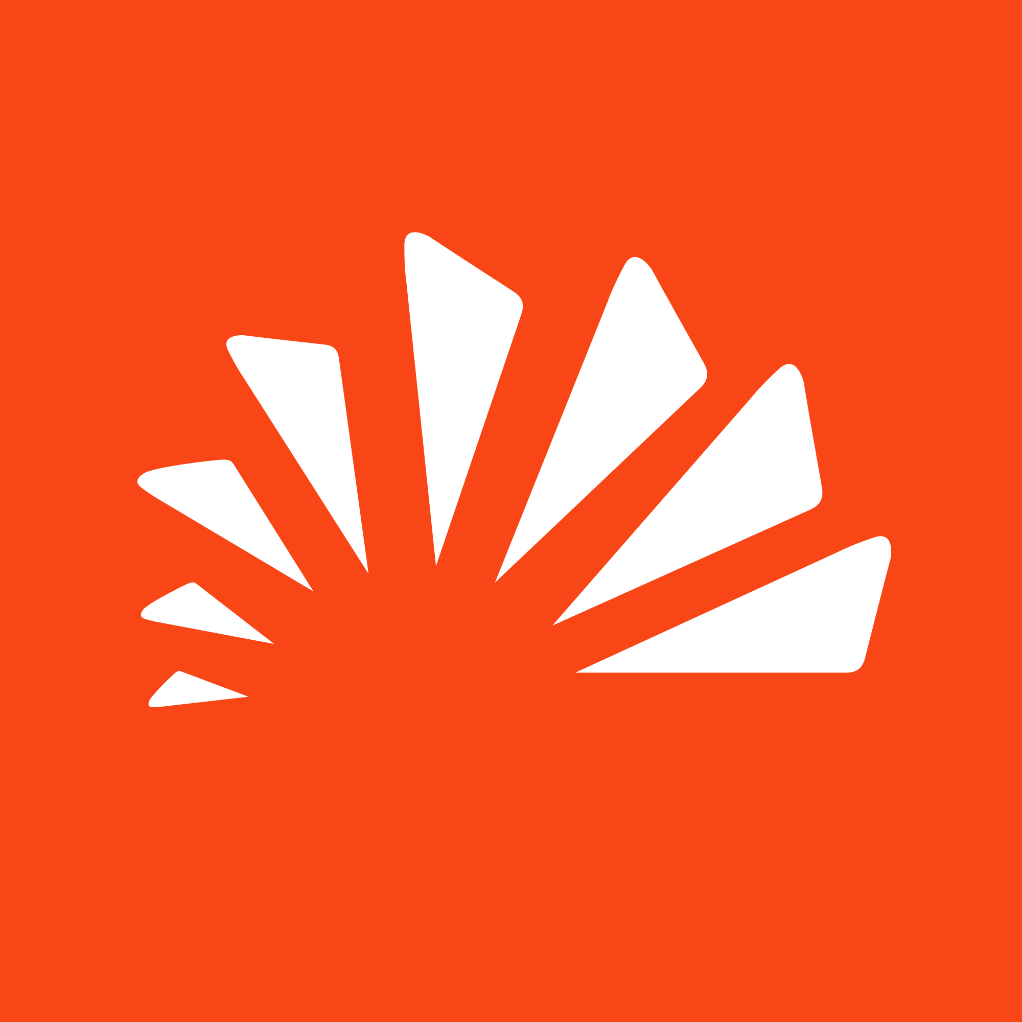 light logo