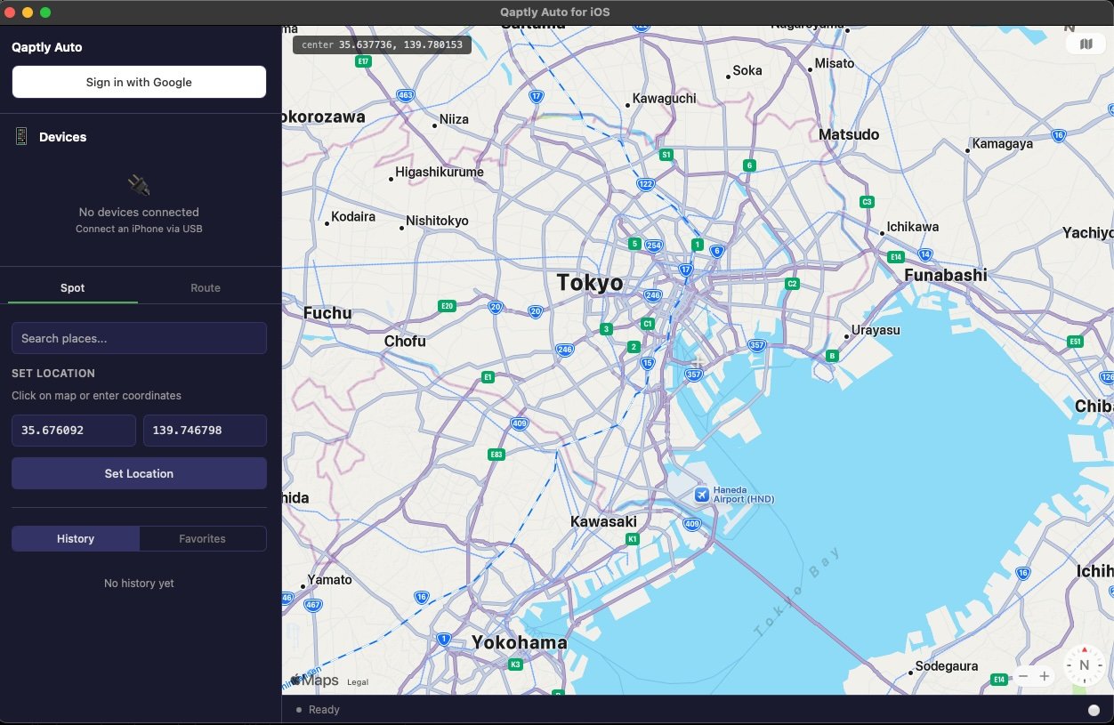 Qaptly Auto Main Interface