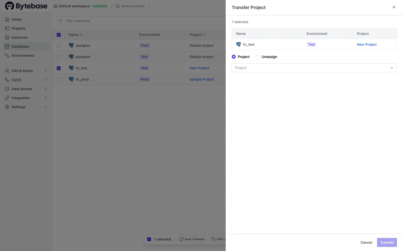 Transfer a database into the project