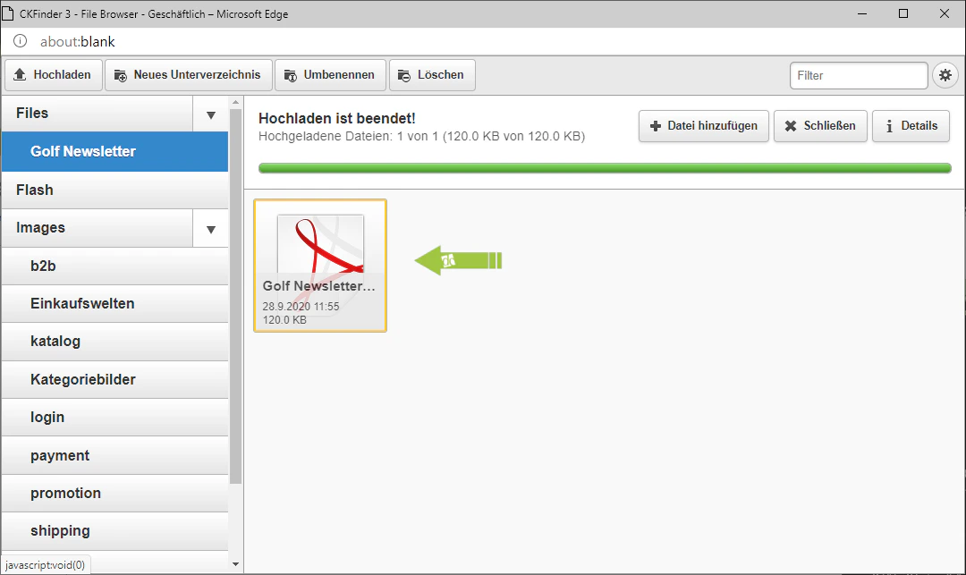 Datei per Drag and Drop in den Dateibrowser hochladen