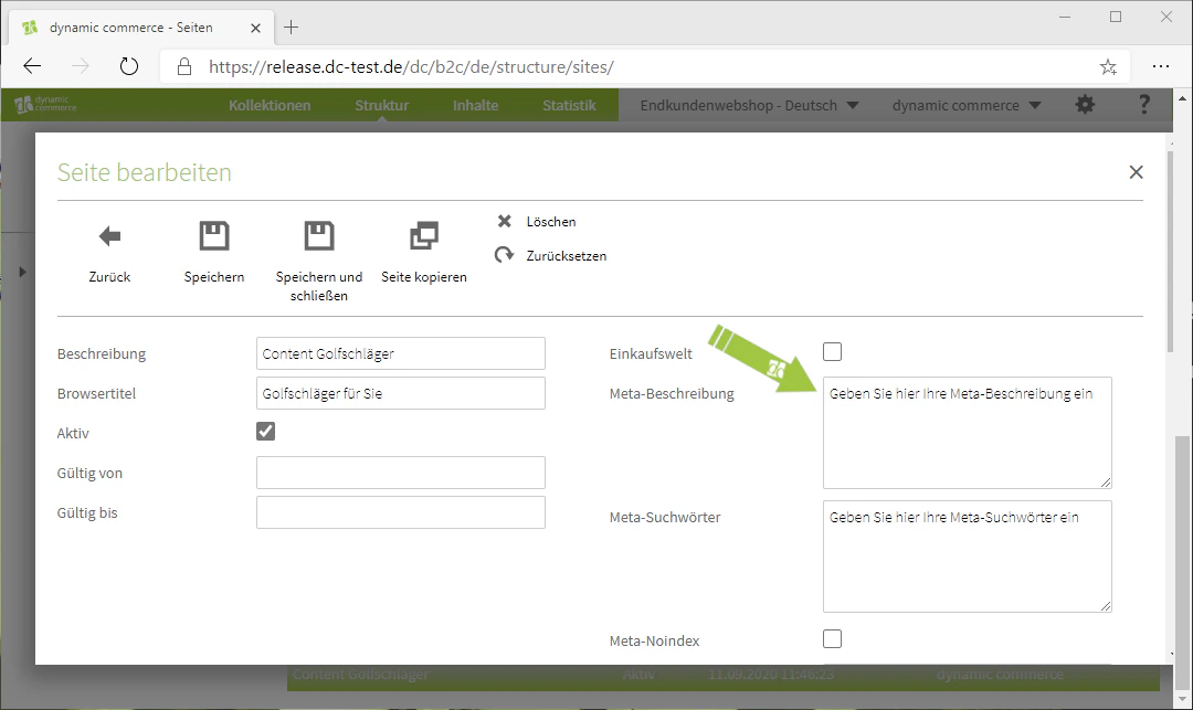 Meta-Beschreibung und Meta-Suchwörter eingeben