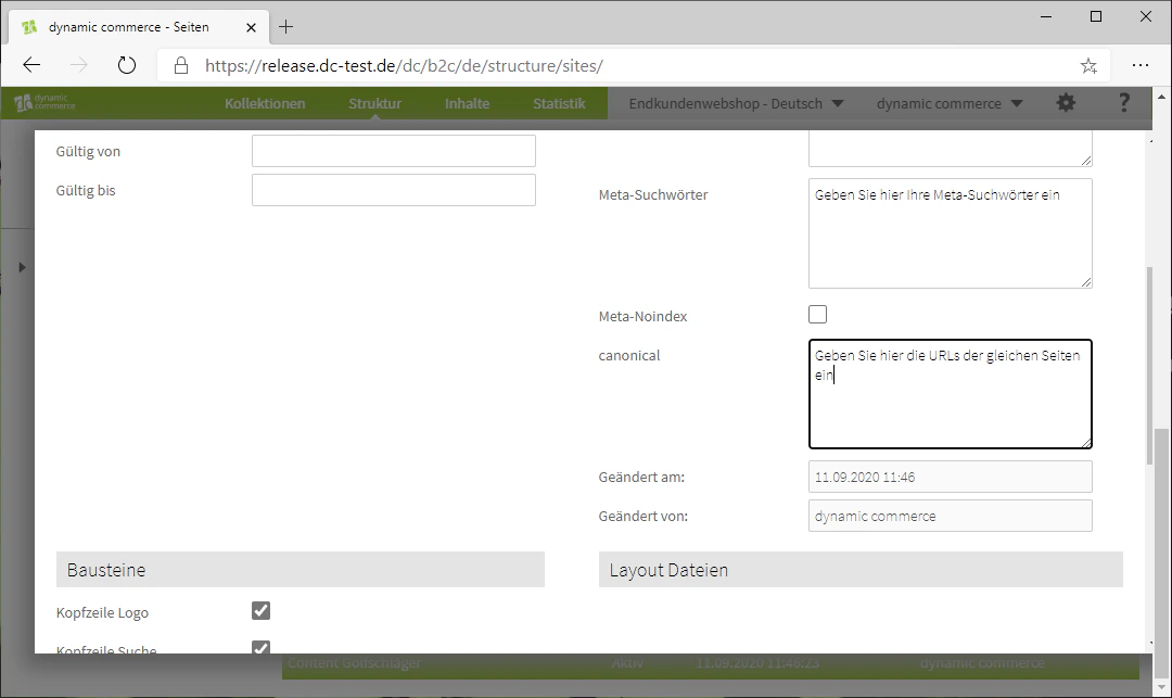 Meta-Noindex und canonical-Angabe