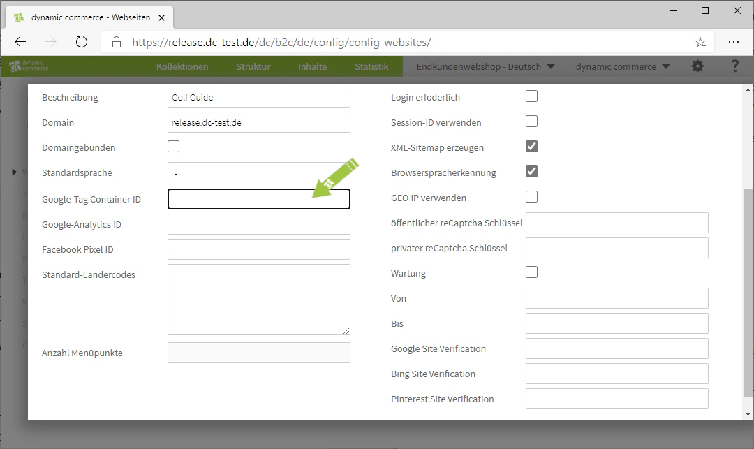 Eingabe der IDs für Google Tag, Analytics und Facebook Pixel