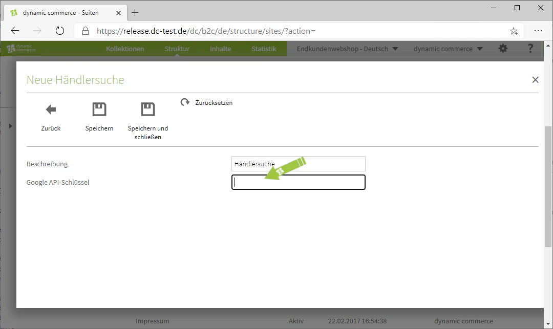 Eingabe des Google API-Key
