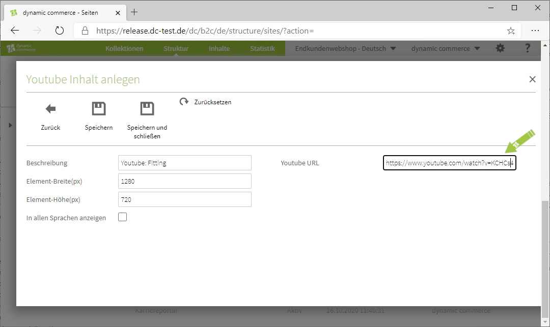 Insert the YouTube URL of the video