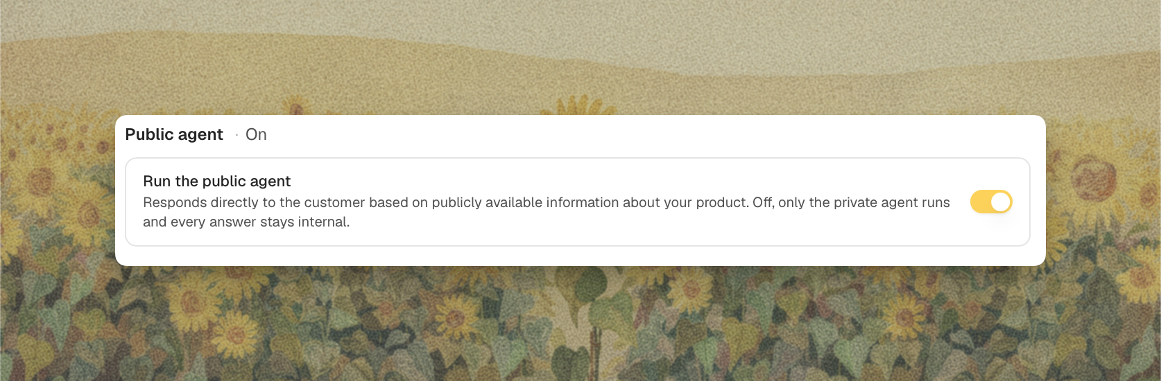 The public agent toggle on the Settings tab