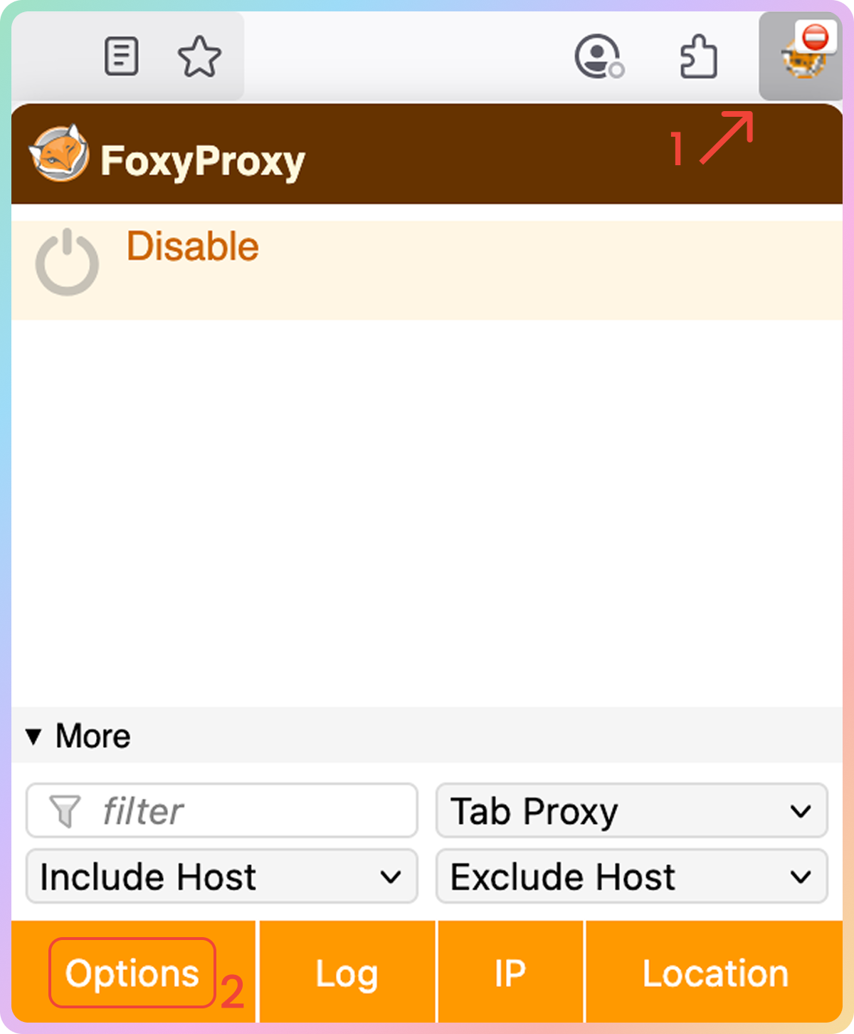 FoxyProxy Extension Proxy Setup Guide - Introduction