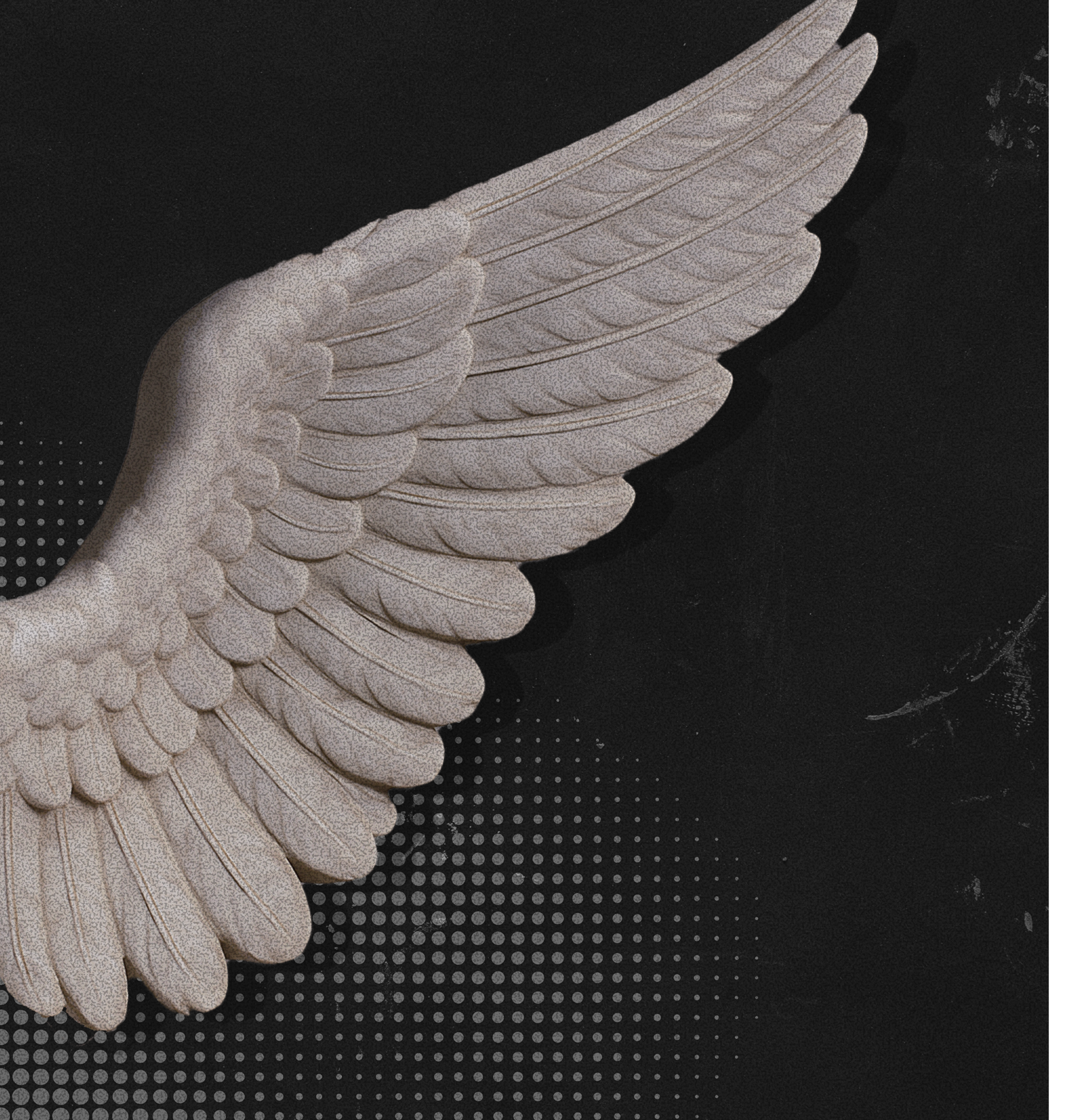 card-design-wing