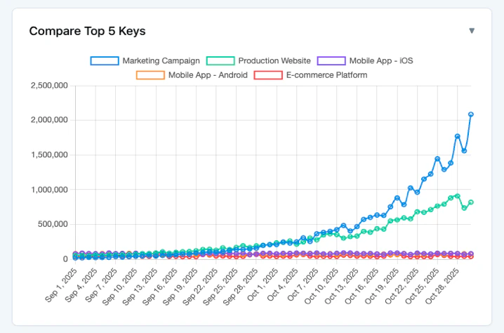 Usage by API Key comparison chart showing top 5 keys