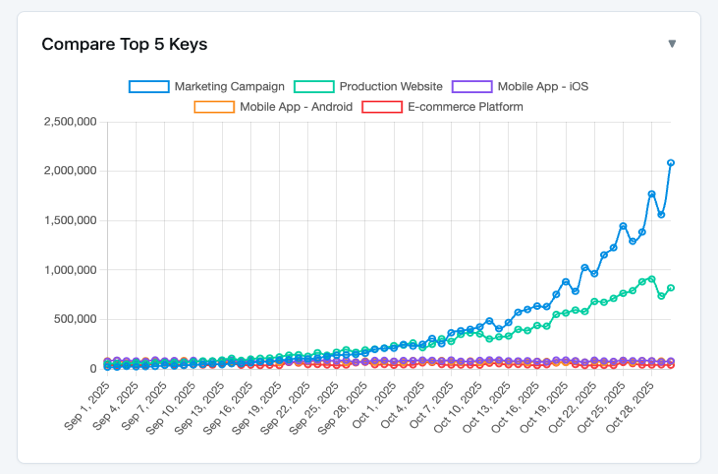 Usage by API Key comparison chart showing top 5 keys