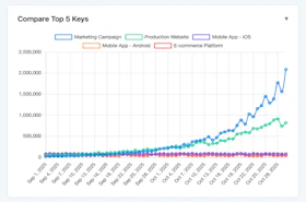 Usage by API Key comparison chart showing top 5 keys