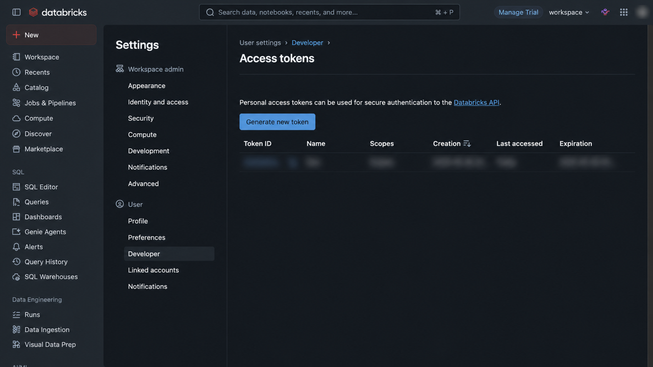 Databricks Developer settings with the Generate new token action