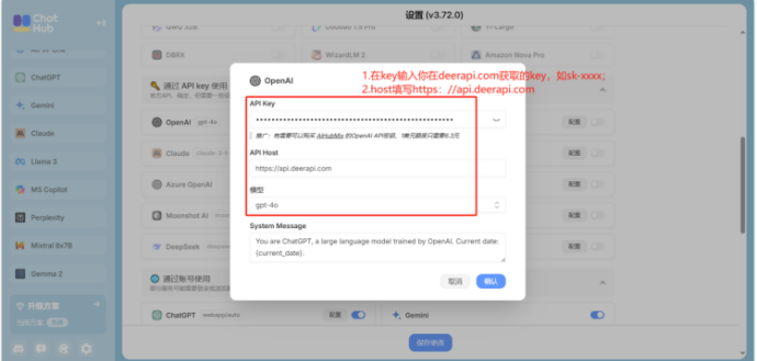填写 API Key