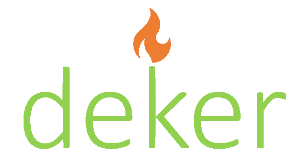 light logo