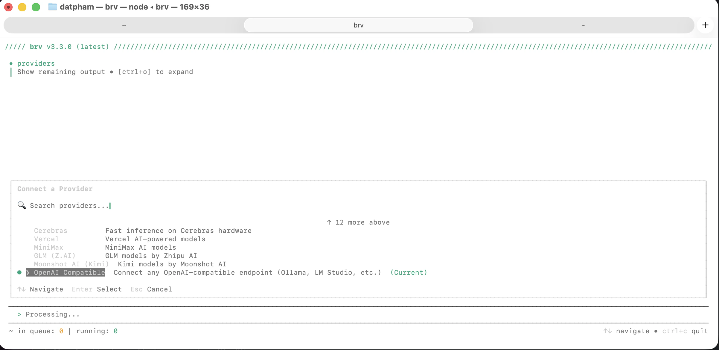 Select OpenAI Compatible provider