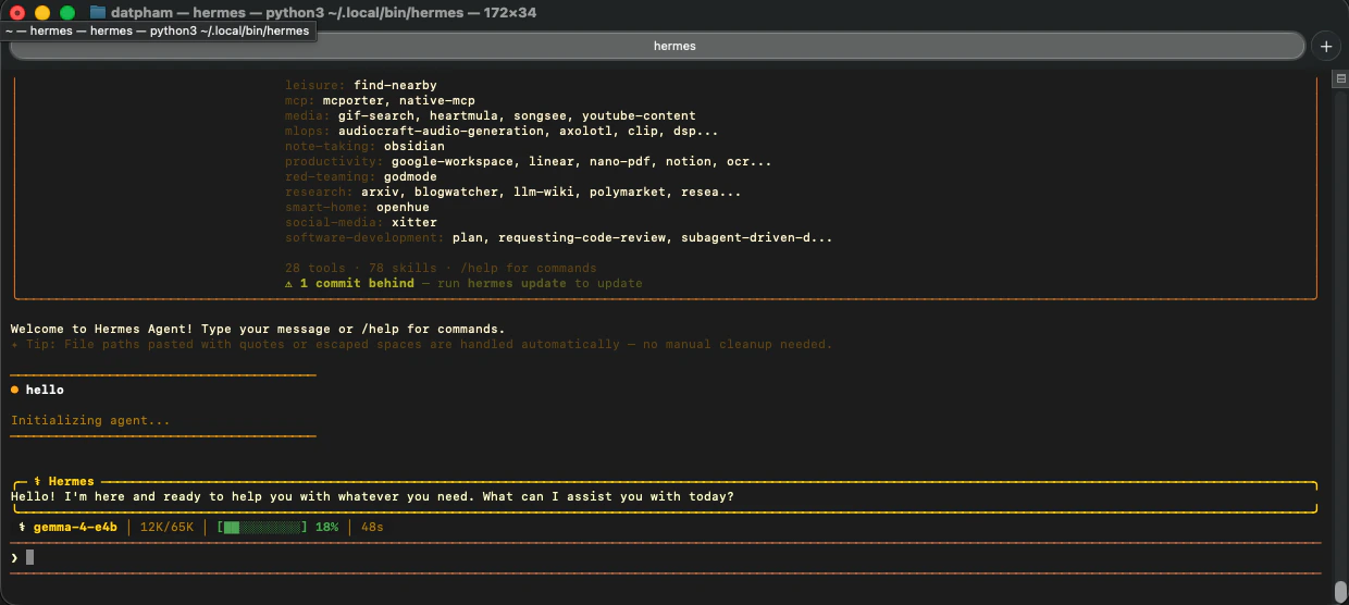 Hermes running with local Gemma model