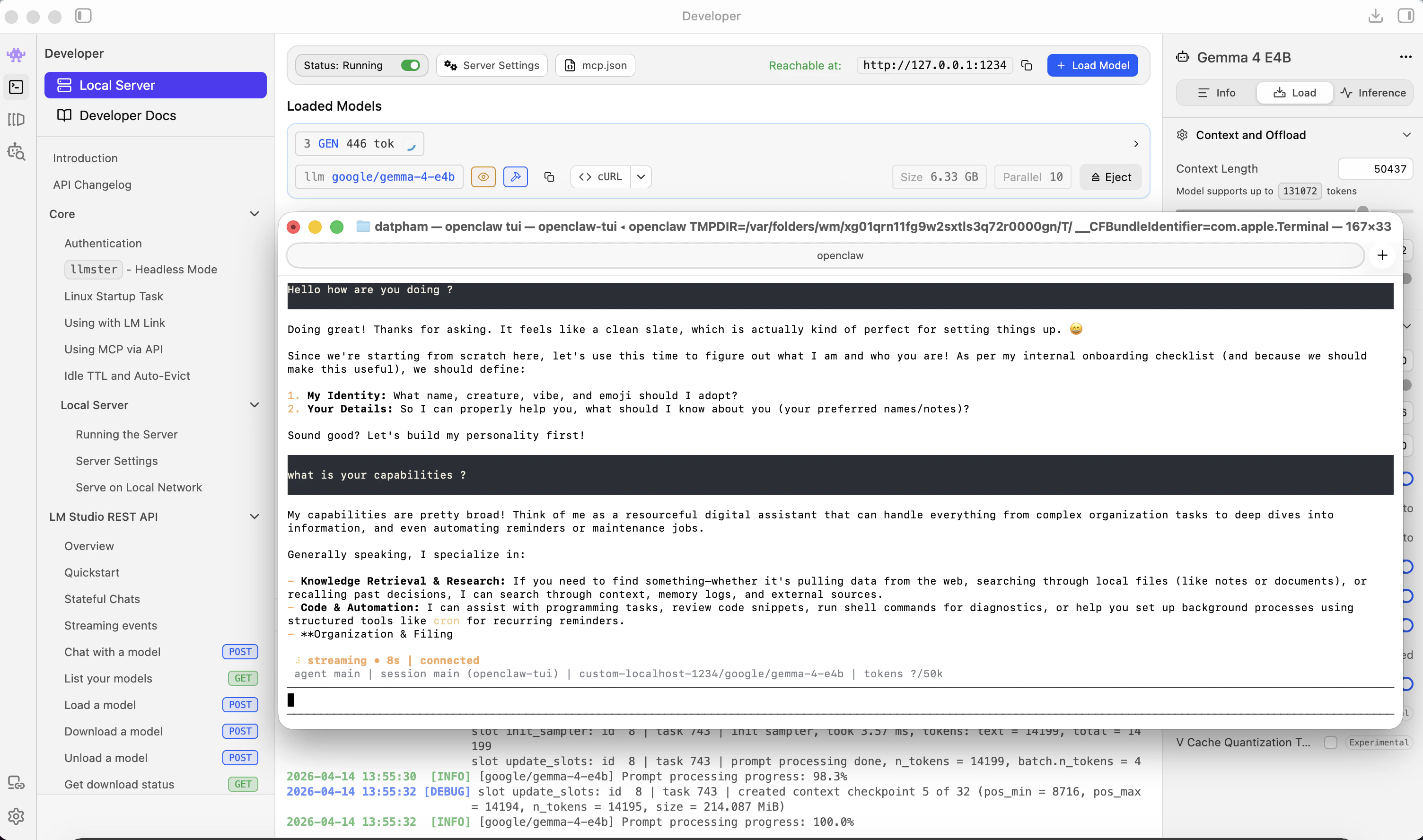 OpenClaw running with local Gemma model