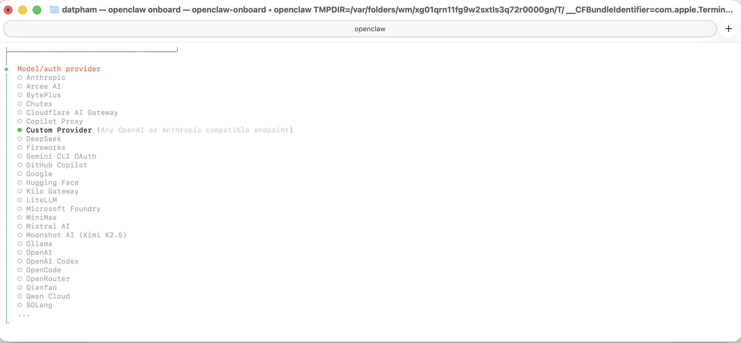 Select Custom Provider in OpenClaw onboard wizard