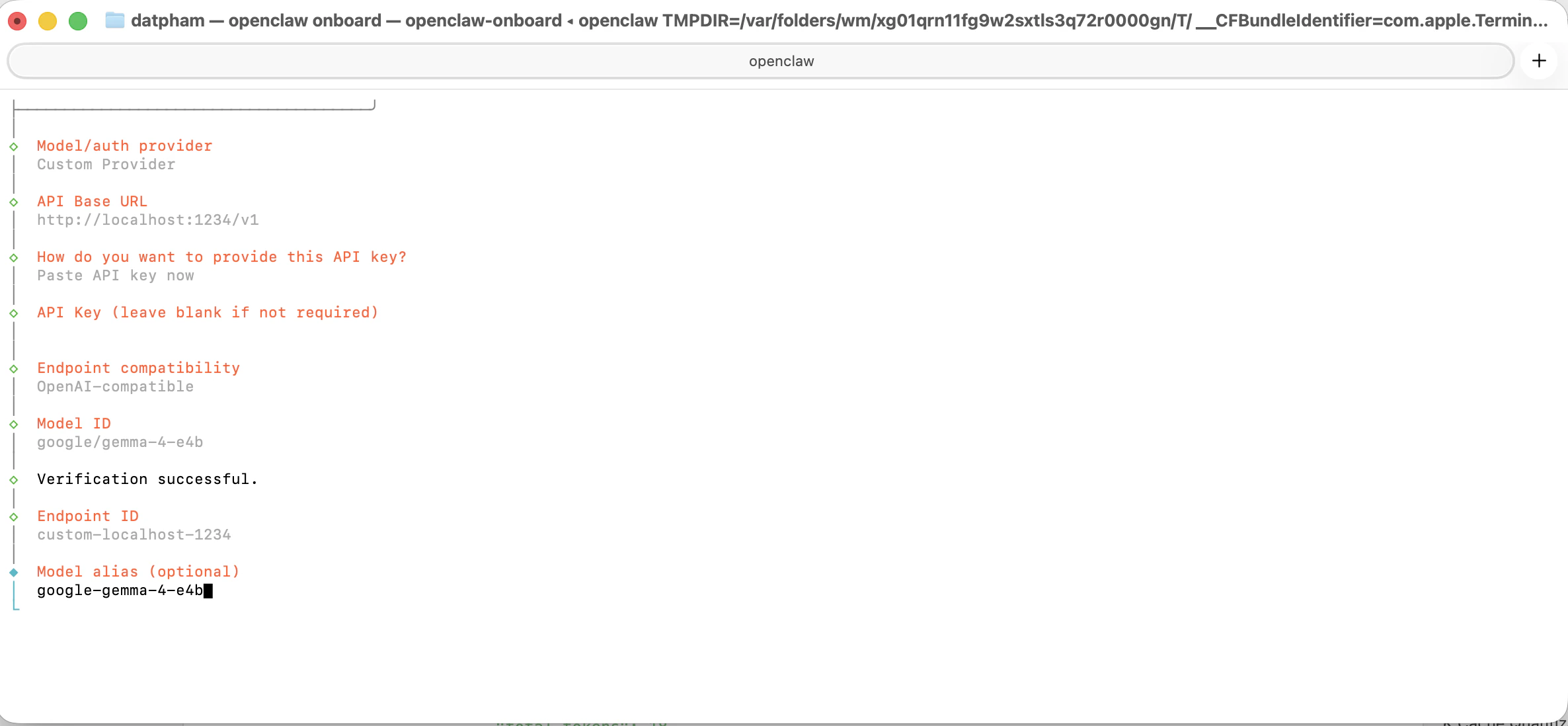 OpenClaw Custom Provider setup and verification