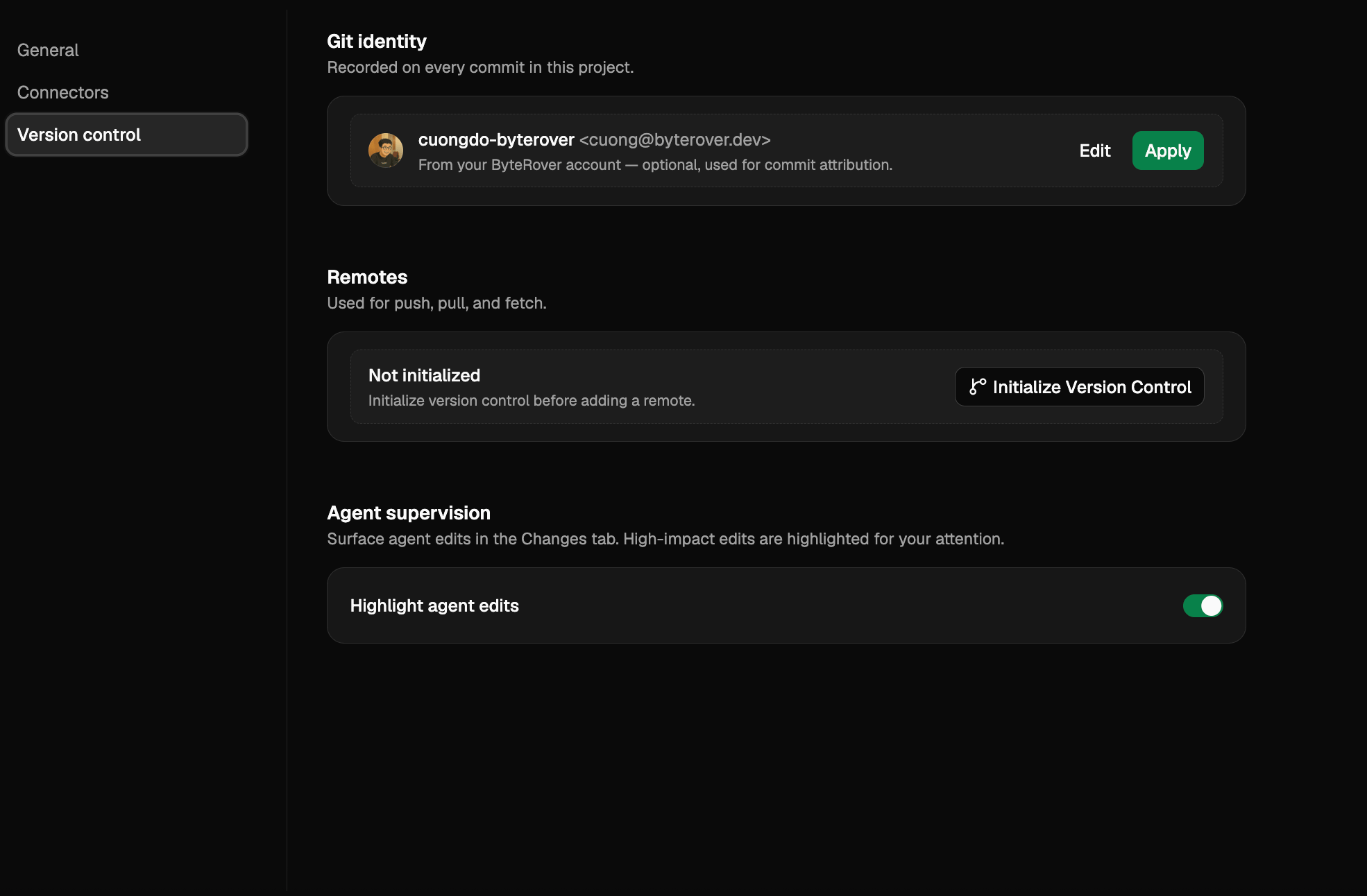 Version control section with Identity and Remotes panels