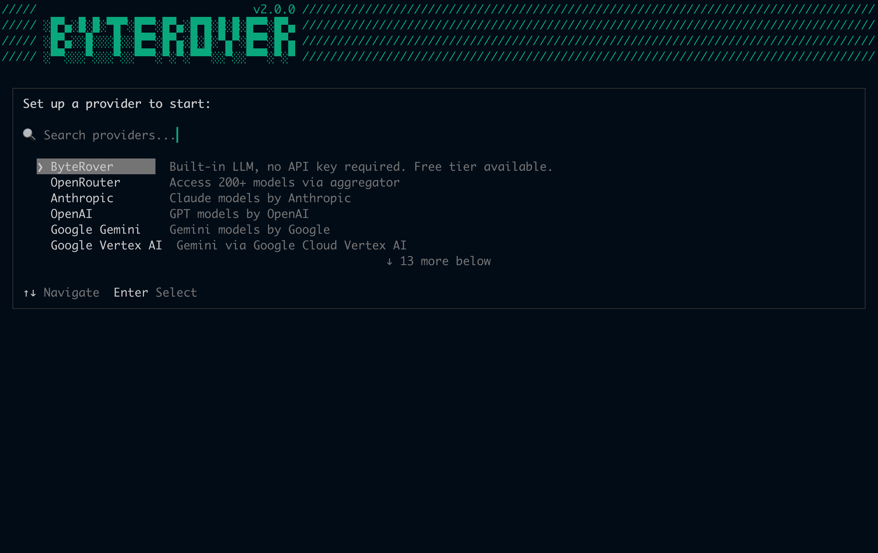 Provider selector on first launch