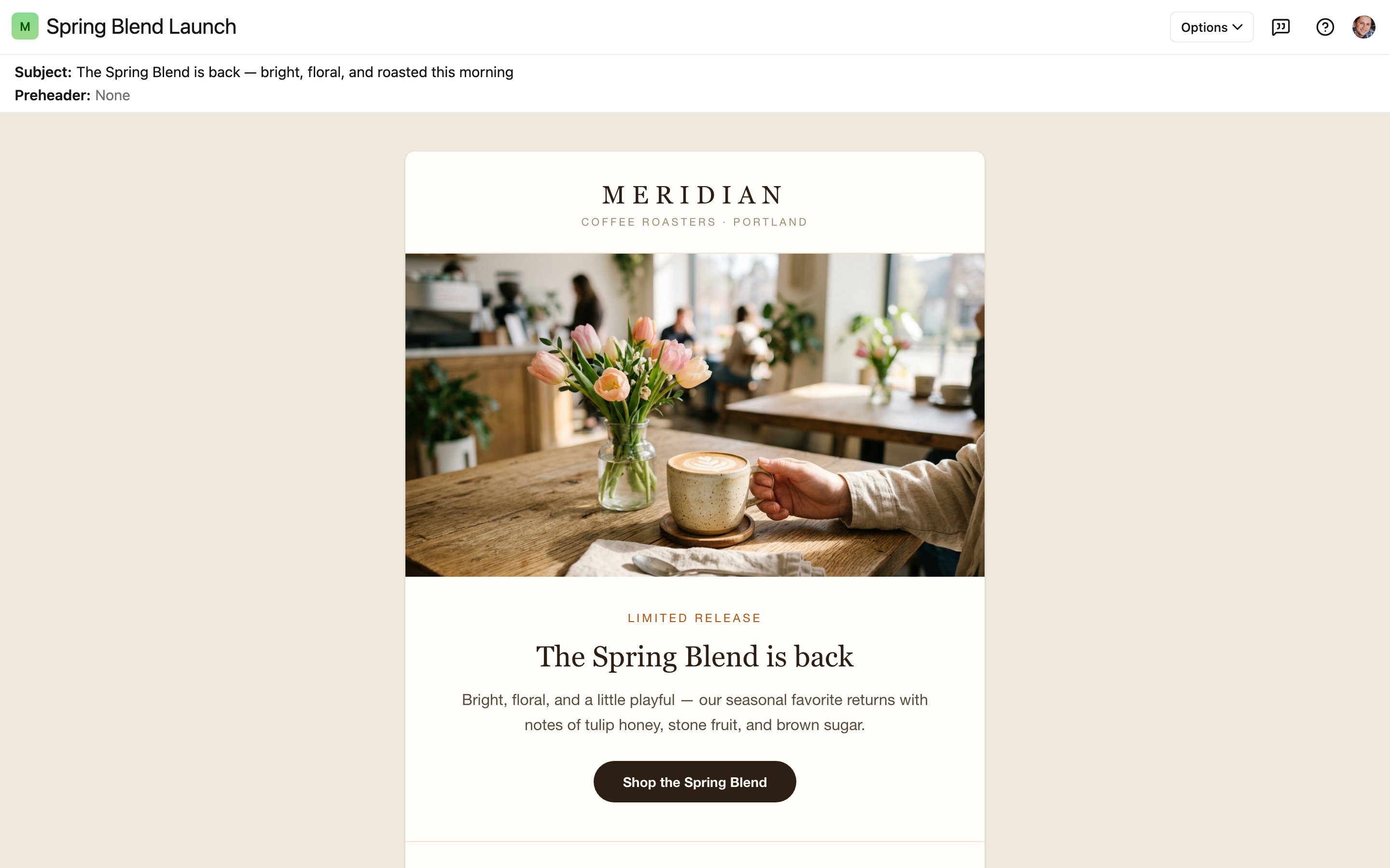A published email project with the project name in the header and the subject line and preheader above the rendered email