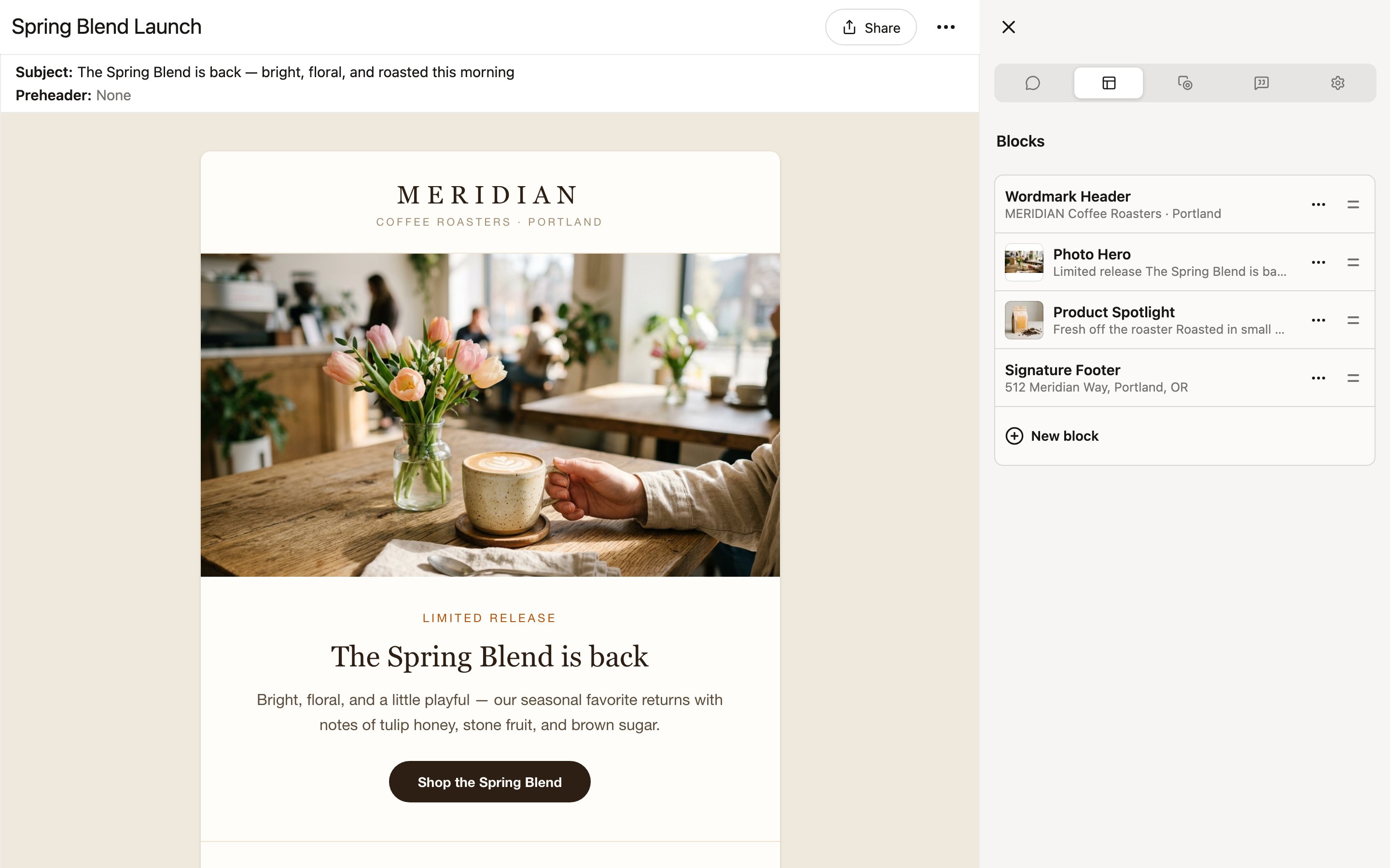The full editor interface, with the rendered email preview on the left and the blocks sidebar on the right