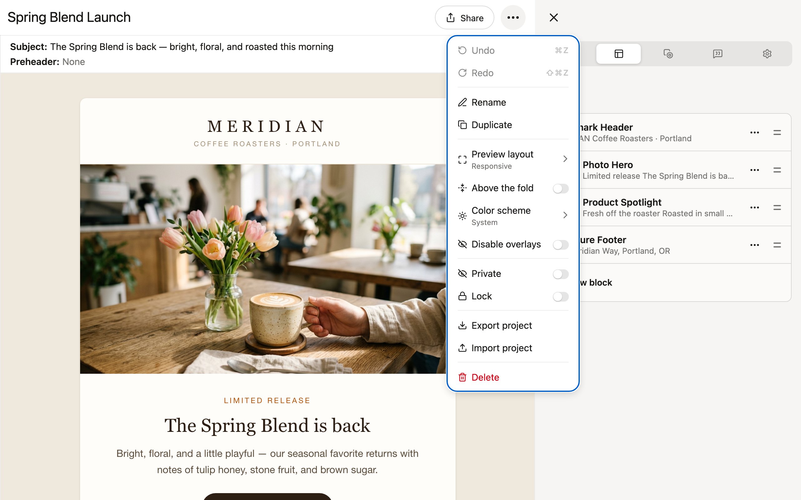 The project options menu, with undo/redo, rename, duplicate, preview settings, and export actions