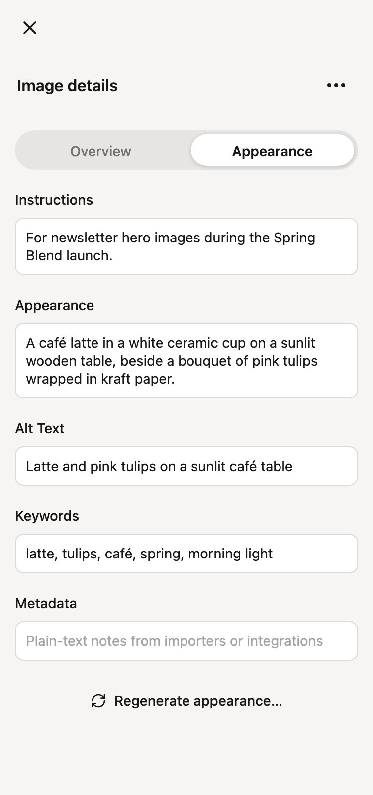 The Appearance tab with instructions, appearance, alt text, and keywords fields filled in