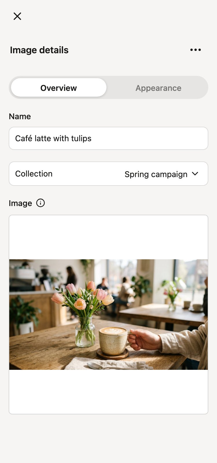 The Image details panel on the Overview tab, with name, collection, and image preview