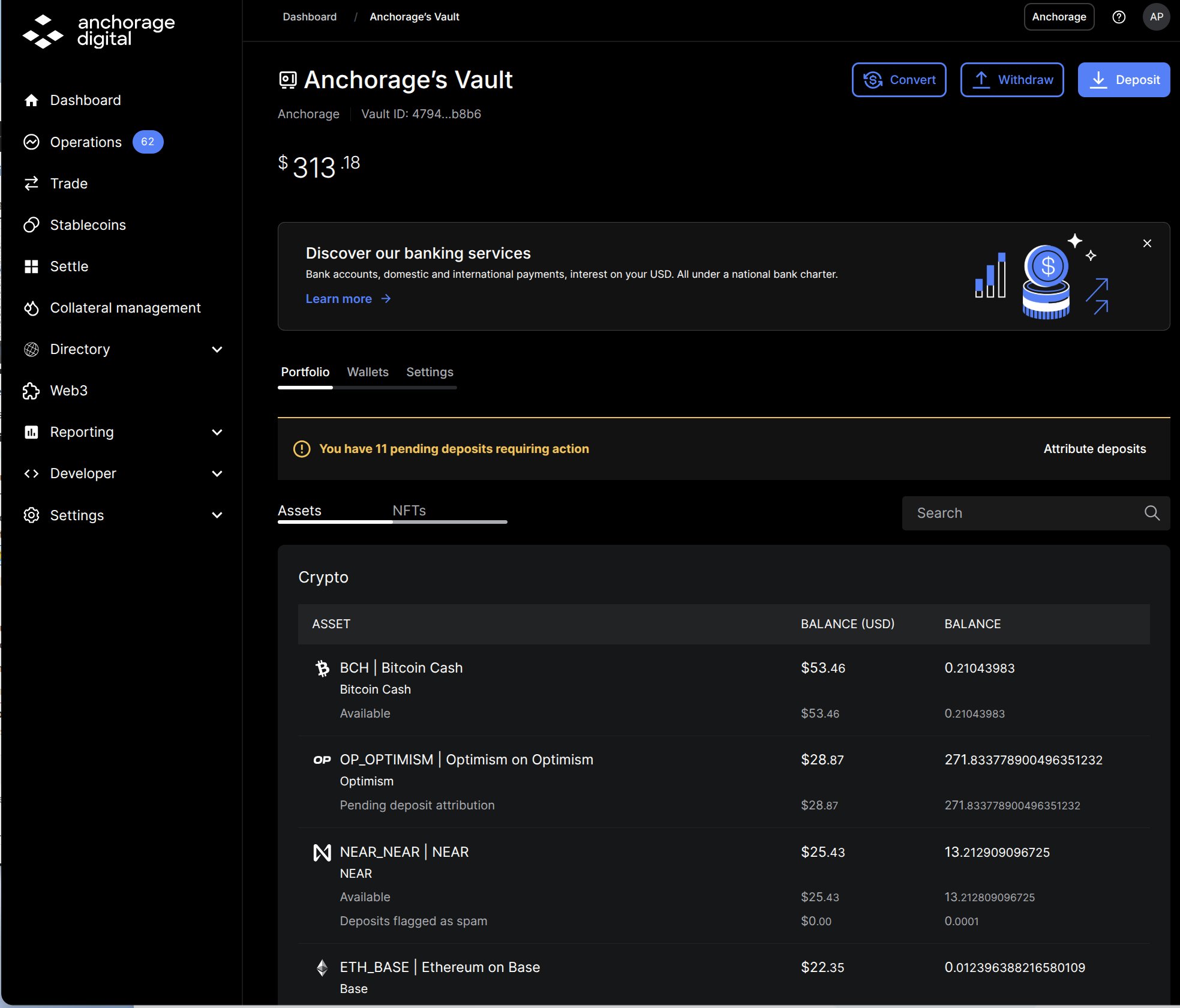 Vault page showing the vault total balance and asset line items such as Available and Pending deposit attribution