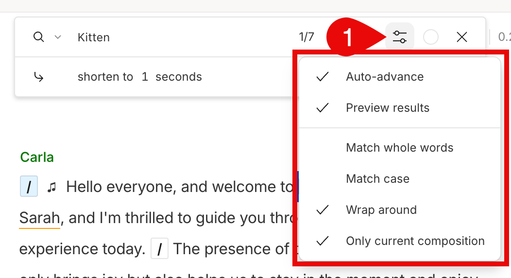 Search options menu