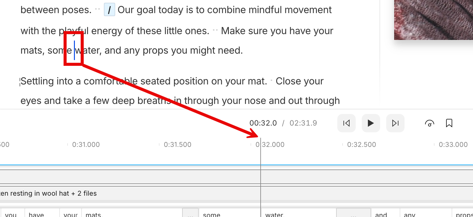 The playhead shown in the Script editor and Timeline