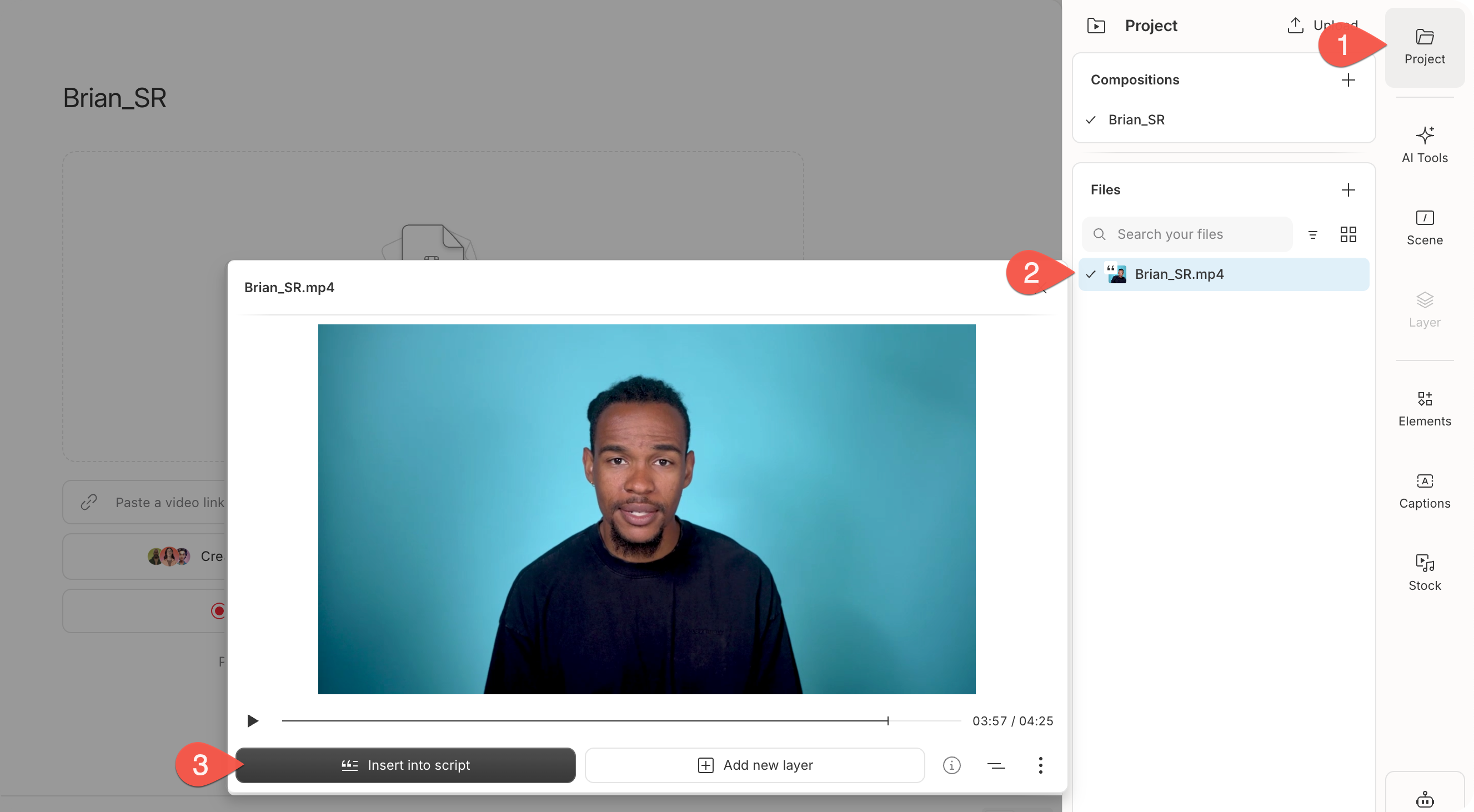 Insert into script button in the file preview.