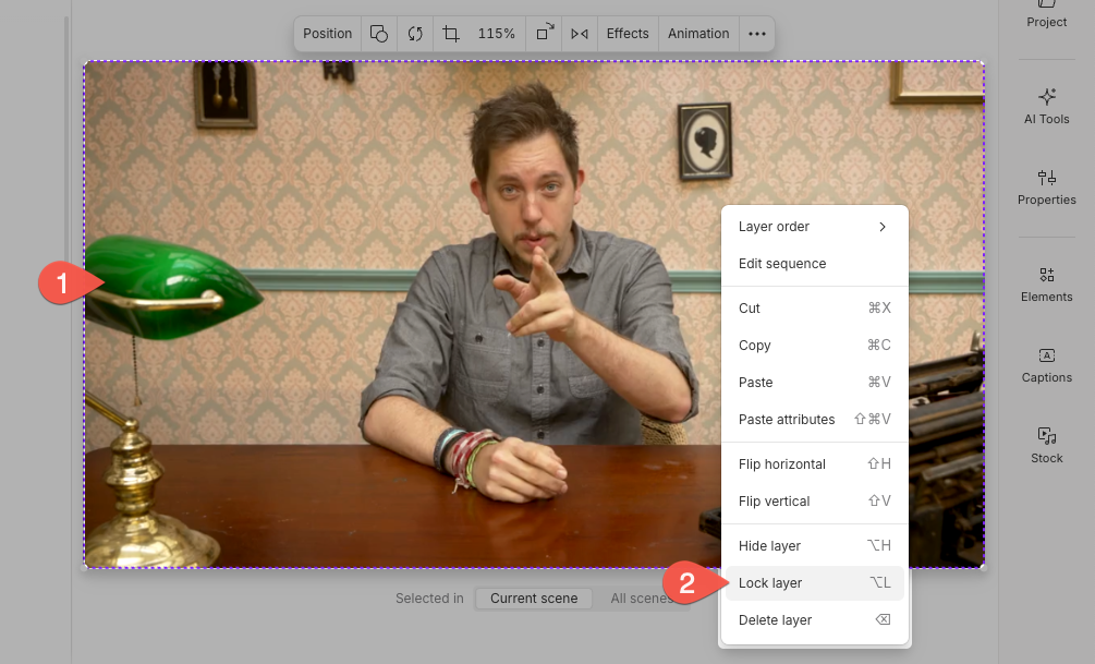Locking a layer from the scene editor