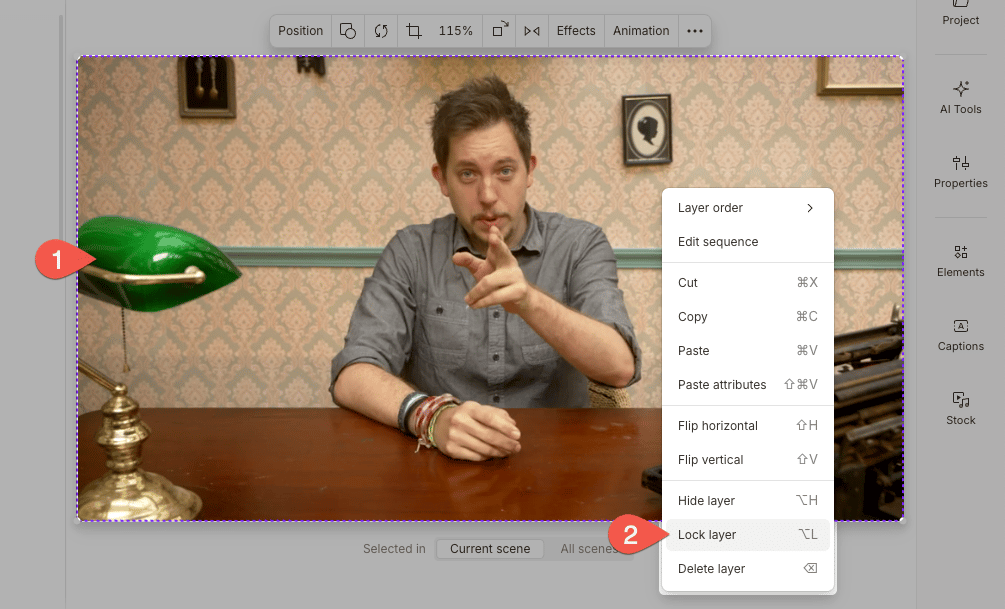 Locking a layer from the scene editor
