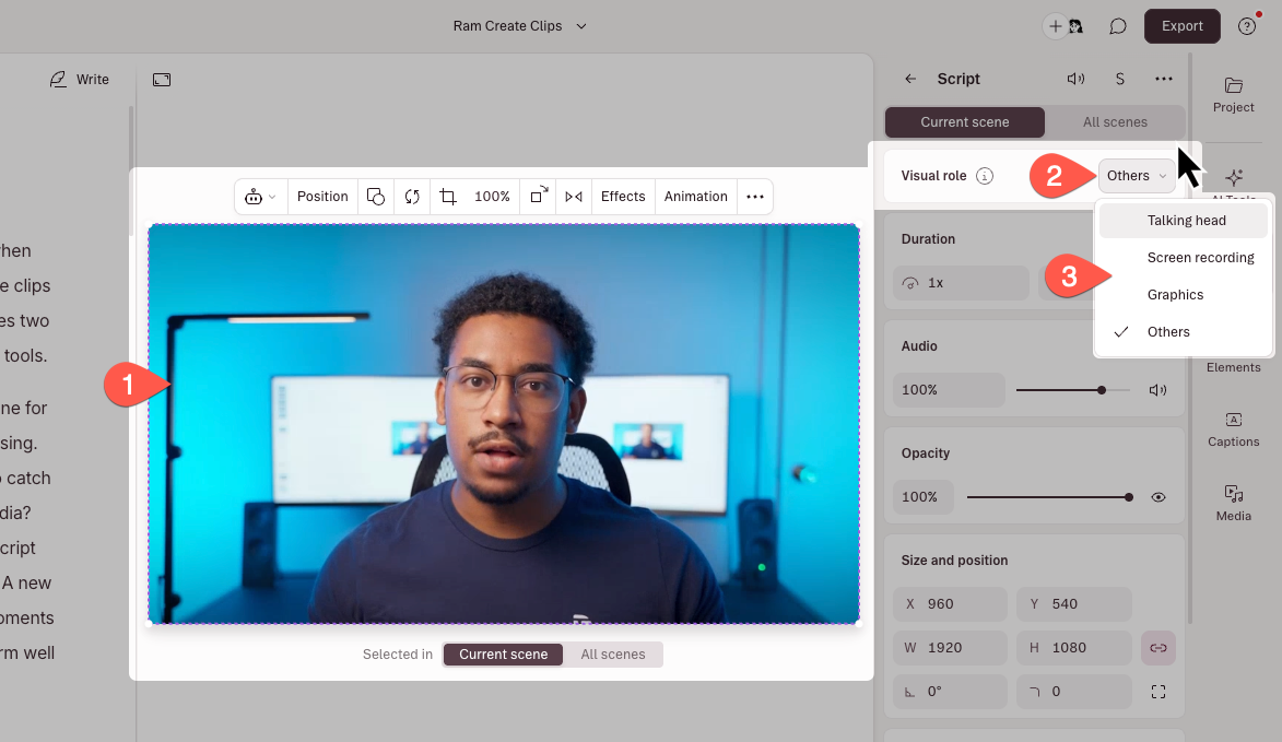 Visual roles sidebar showing Talking head, Screen recording, Graphics, and Other role options