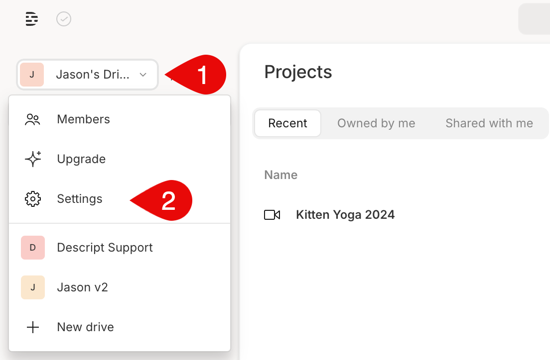 Drive settings panel with subscription tab selected
