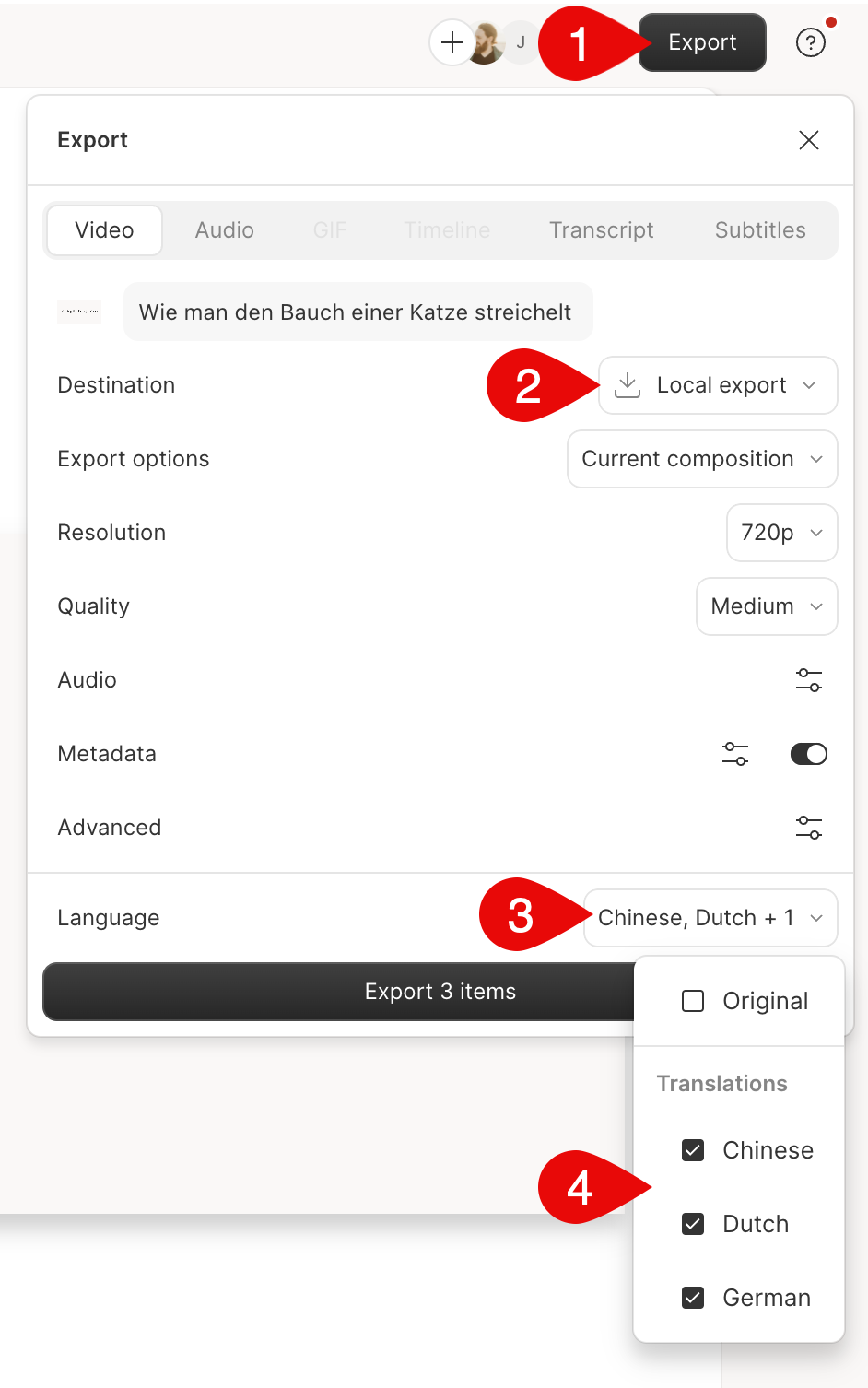 Select multiple languages for export in Descript