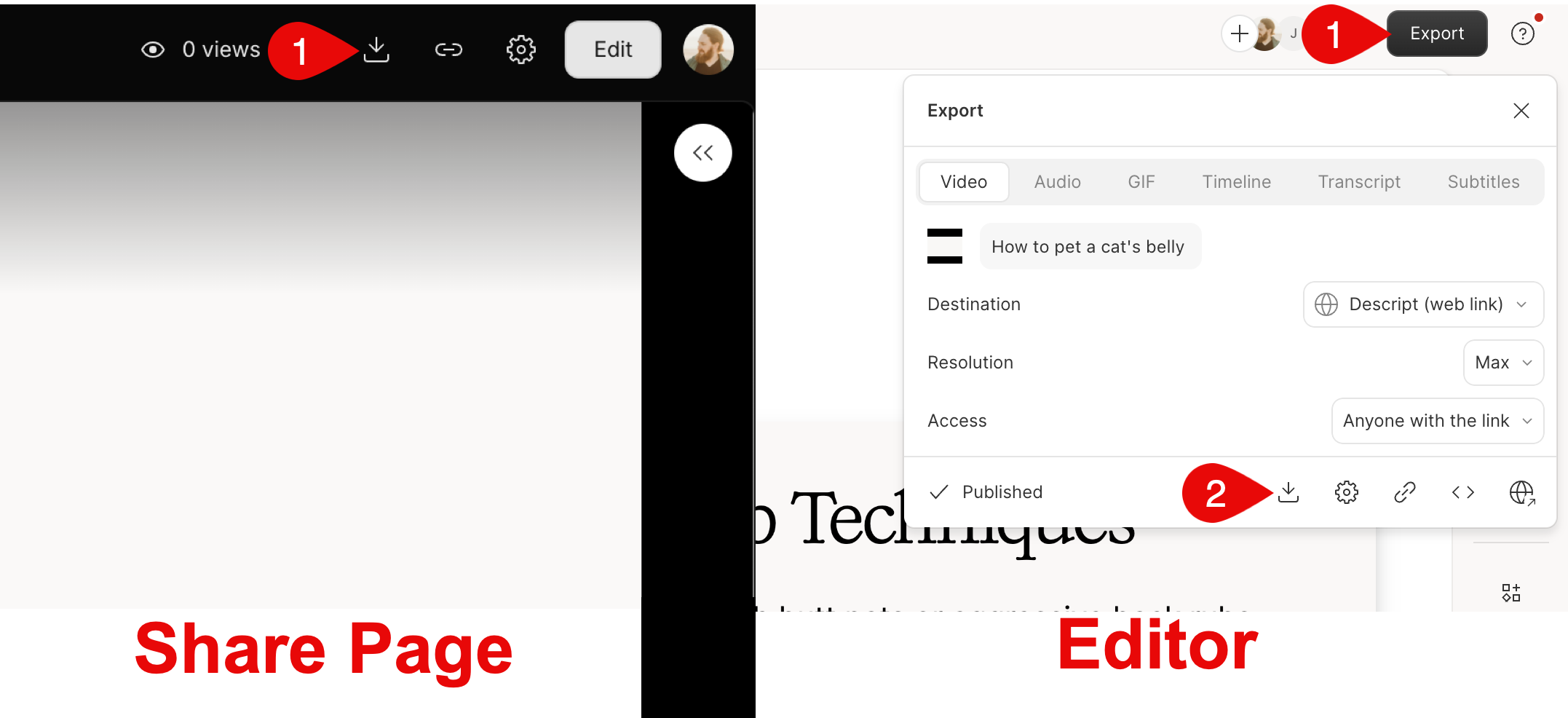 Download button at the top of a published share page