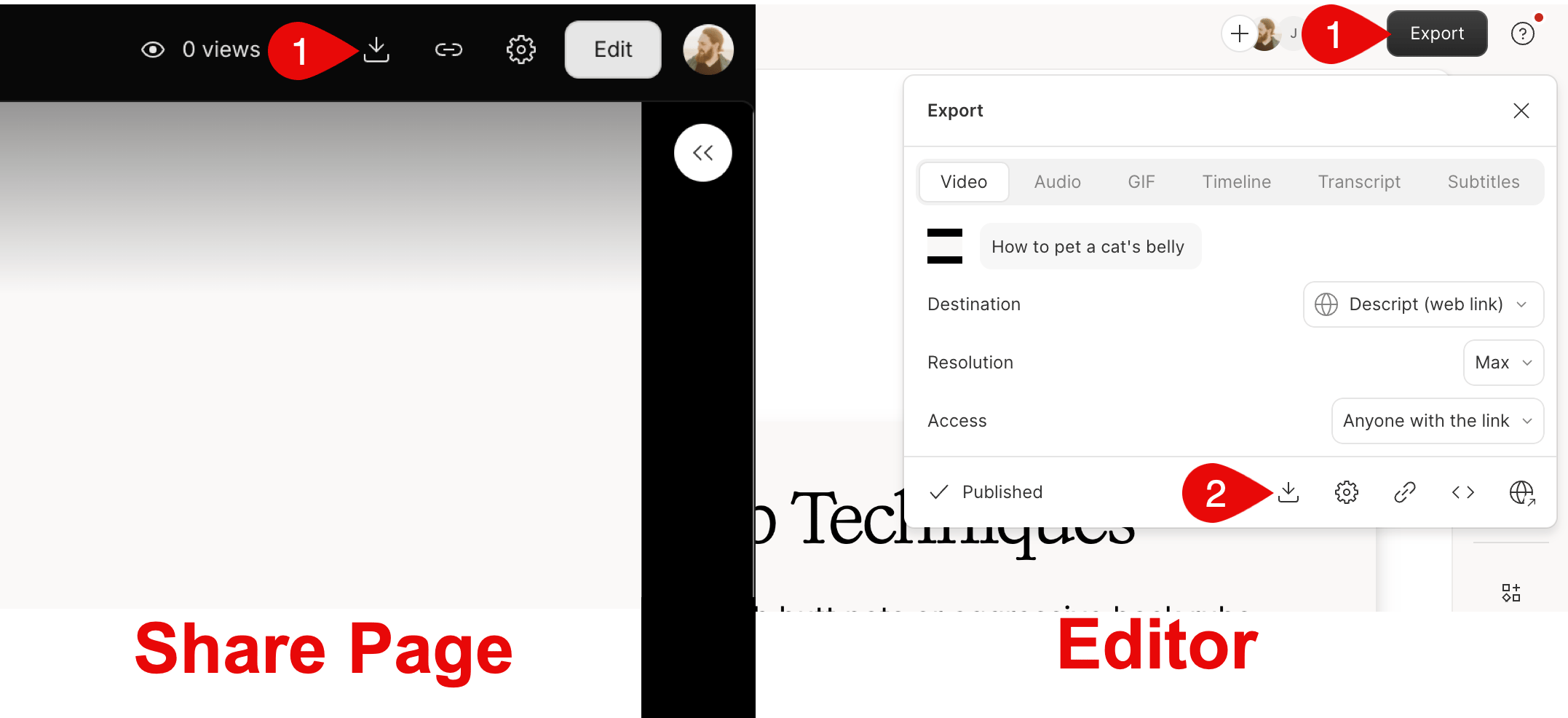 Download button at the top of a published share page