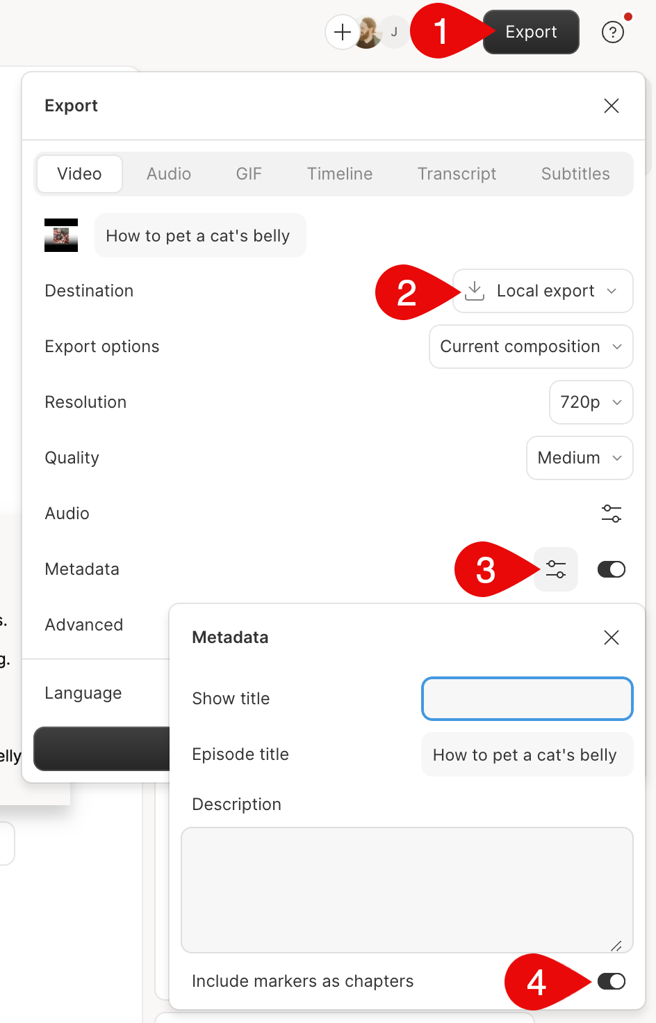 Export settings showing Include markers as chapters enabled