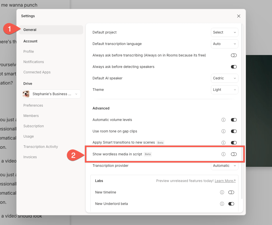 General app settings with Show wordless media in script toggle