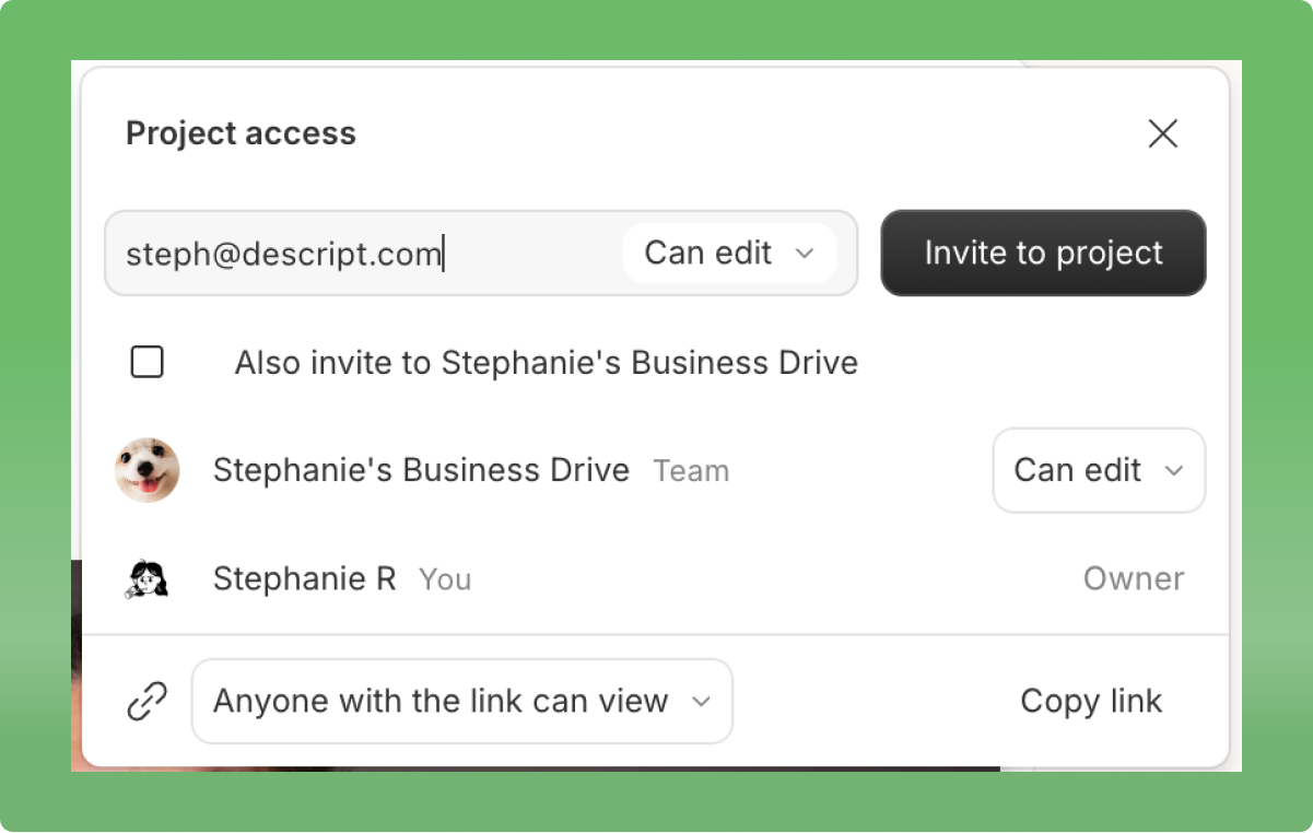 Project access modal with fields to invite collaborators and assign permissions. Press Esc to close.