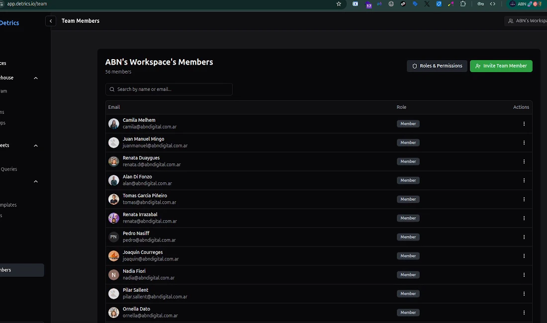 Team Members page showing a list of workspace members with roles and action buttons