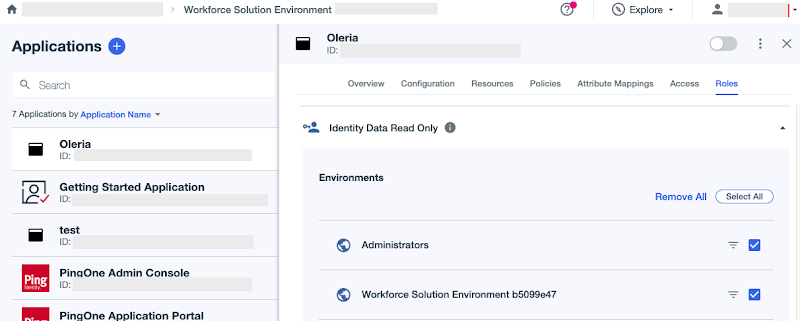 Identity Read Only (select all environments)