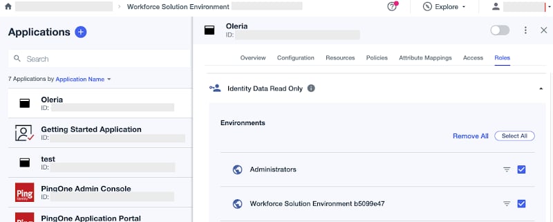 Identity Read Only (select all environments)