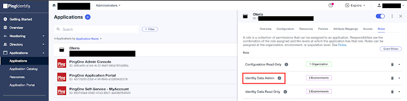 PingOne role selection for Identity Data Admin showing access scope options
