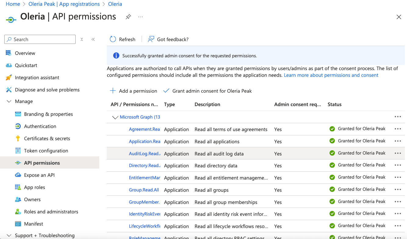 Step 6: Successful completion of Admin grant consent should mark granted status green.