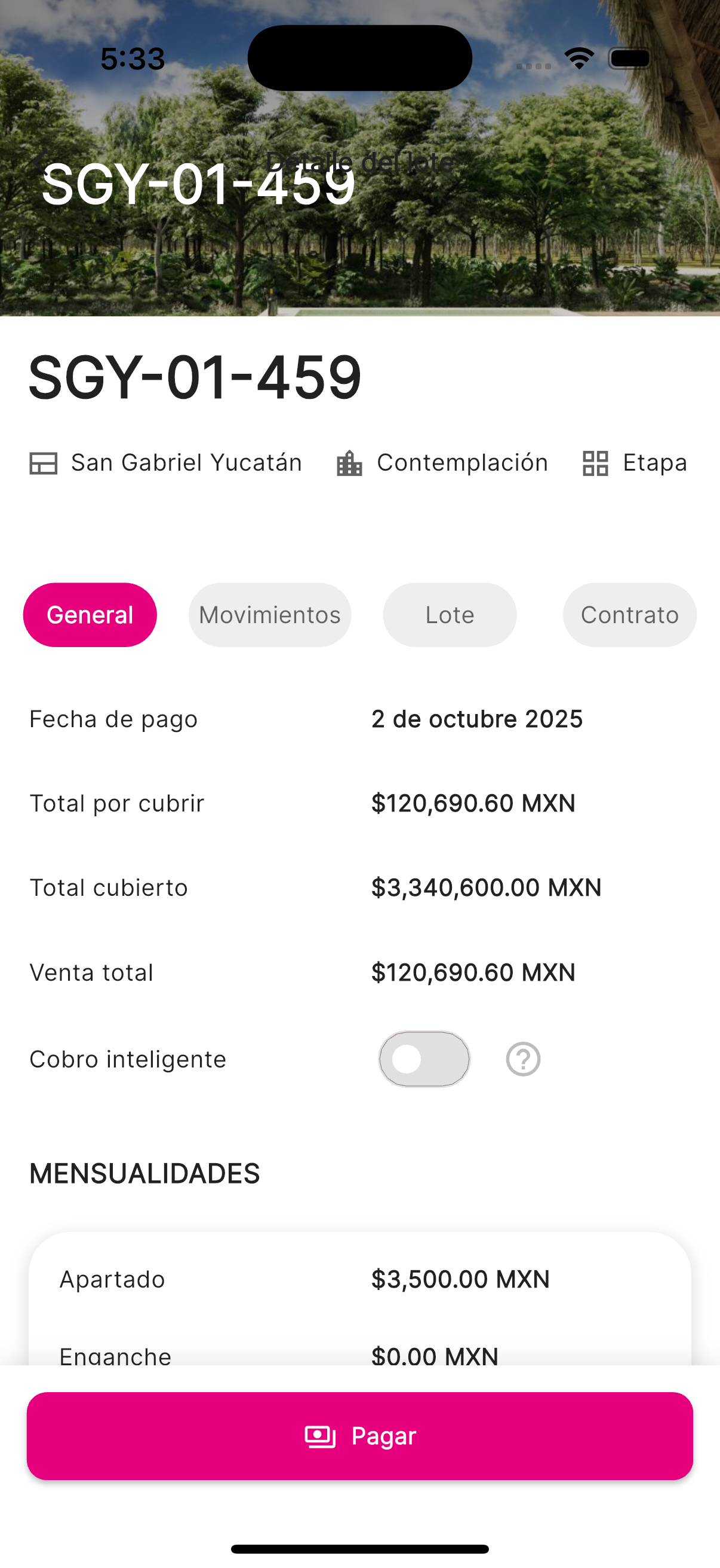 Información general del lote mostrando detalles de la compra